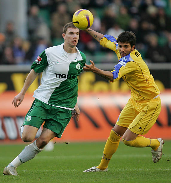 相关调查 相关调查